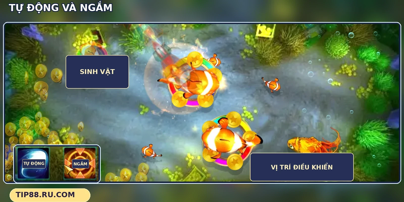Khung điều khiển Happy Fishing đặt biểu tượng tự động và ngắm bên cảnh sinh vật biển.
