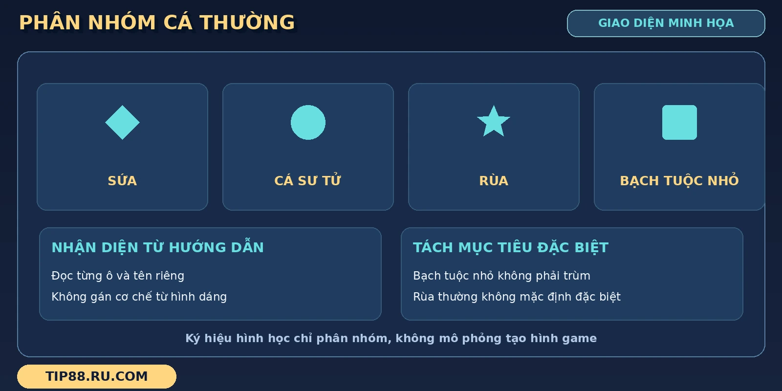 Bảng Happy Fishing thể hiện nhóm sứa, cá sư tử, rùa và bạch tuộc nhỏ bằng nhãn riêng.